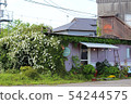 A flowered building 54244575