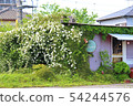 A flowered building 54244576