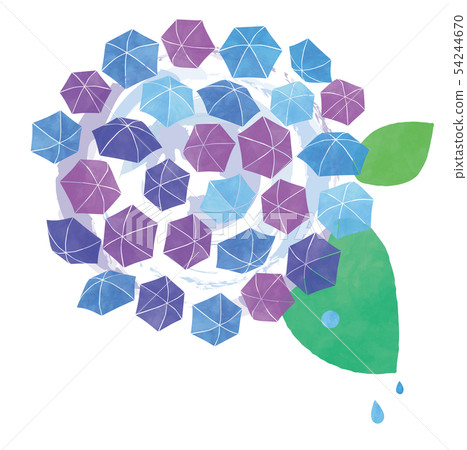 Umbrella hydrangea Umbrella hydrangea 54244670