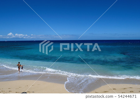 留尼旺島海灘 留尼旺島海灘 54244671
