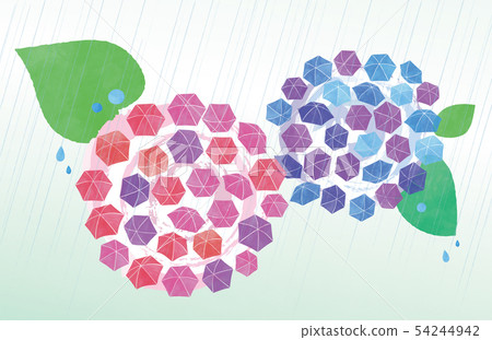 傘繡球花和雨 54244942