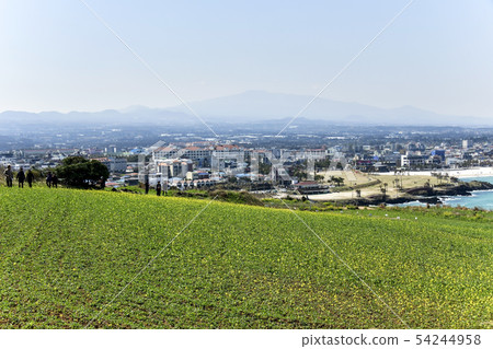 Yoochae, Suwobong, Jocheon-eup, Jeju-si, Jeju-do Yoochae, Suwobong, Jocheon-eup, Jeju-si, Jeju-do 54244958
