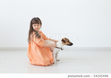 Little charming girl with dark hair in a long dress is sitting next to the dog Jack Russell Terrier Little charming girl with dark hair in a long dress is sitting next to the dog Jack Russell Terrier 54245446