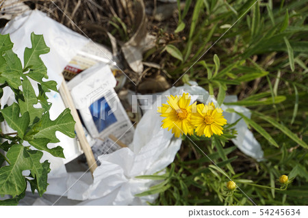 Flowers and trash 54245634