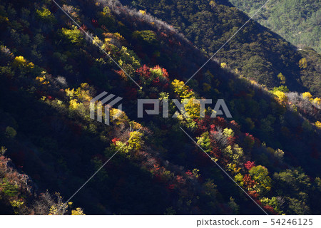 Oku日光風景 54246125