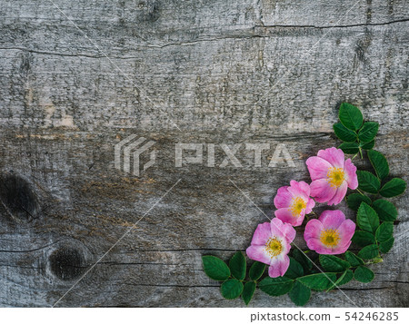 Beautiful, spring flowers lying on shabby boards 54246285