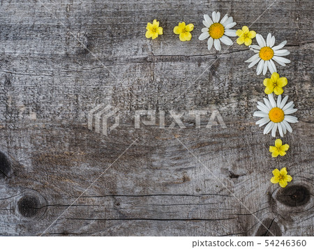 Beautiful bouquet of blooming, bright flowers. Close-up. 54246360