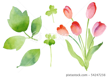 Water color flower Water color flower 54247238