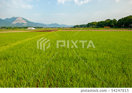初夏的Sanki鐵路 初夏的Sanki鐵路 54247815