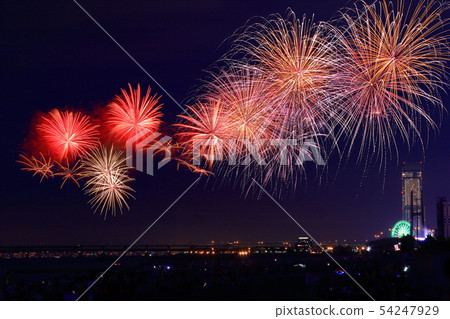 Senshu Light and Sound Dream Fireworks（大阪府森南市） 54247929