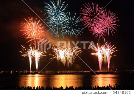 Senshu Light and Sound Dream Fireworks (Sennan City, Osaka Prefecture) 54248165