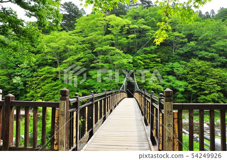 Shiobara Onsen red suspension bridge and fresh green 54249926