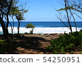 Waipio Black Sand Beach 54250951