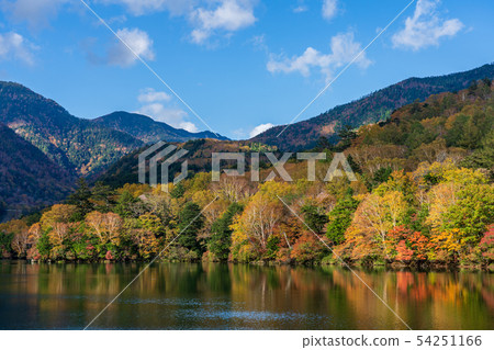 Lake Tonoko, Nikko City Tochigi Prefecture (October) 54251166
