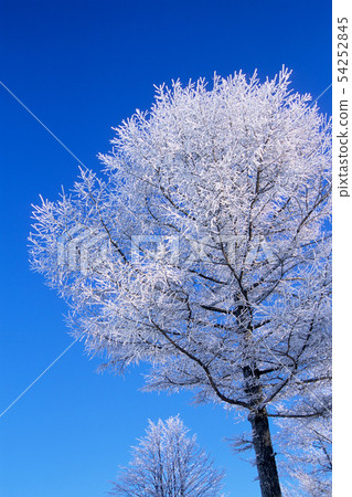 Blue sky with ice Blue sky with ice 54252845