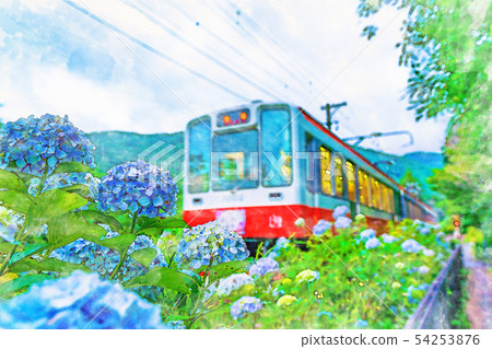 [水彩風格]箱根登山鐵道和繡球花的景觀 54253876