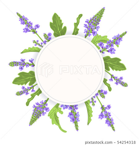 Verbena Round Circle badge. leaf branch, flowers Verbena Round Circle badge. leaf branch, flowers 54254318