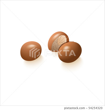 Brown nuts whole. hazelnut or Macadamia on white Brown nuts whole. hazelnut or Macadamia on white 54254320