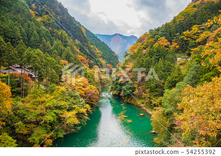 Autumn Okutama Shiromaru Hu 54255392