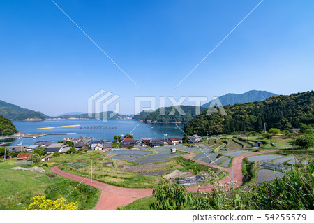 Tanada的一天 Tanada的一天 54255579