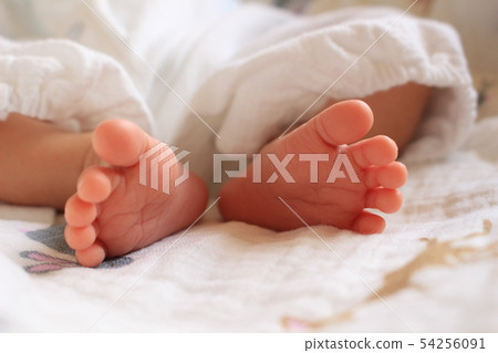 寶寶的腳 寶寶的腳 54256091
