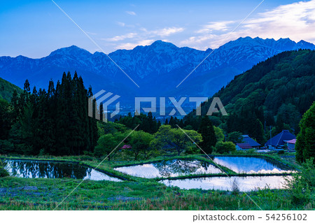 (長野縣)白馬村奧尼村有梯田和北阿爾卑斯山的降雪 (長野縣)白馬村奧尼村有梯田和北阿爾卑斯山的降雪 54256102