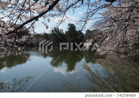 名古屋城堡點視圖 54256489