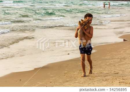 boy holds a dog breed Yorkshire terrier on the background of the sea, pets walk on the sea boy holds a dog breed Yorkshire terrier on the background of the sea, pets walk on the sea 54256895