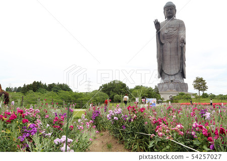Ushiku Daibutsu 54257027