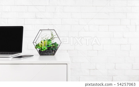 Modern working place with laptop, and house plants at white brick wall background. Modern working place with laptop, and house plants at white brick wall background. 54257063