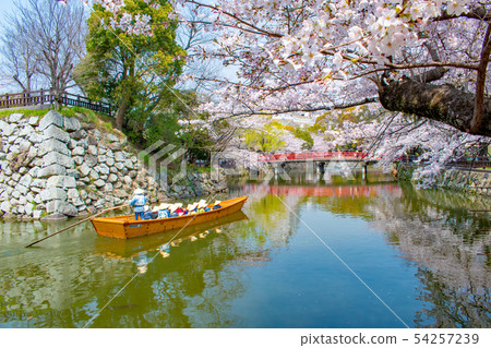 姬路城堡在春天櫻花和日本船 姬路城堡在春天櫻花和日本船 54257239