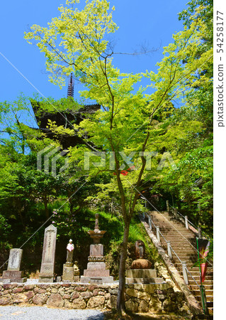 Ichijoji Triple Tower National Treasure Ichijoji Triple Tower National Treasure 54258177