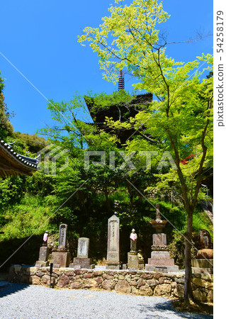 Ichijoji三塔國寶 Ichijoji三塔國寶 54258179