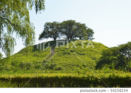 埼玉墓群中的Maru墓山墓 54258234