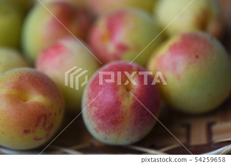 Ripe plum fruit 54259658