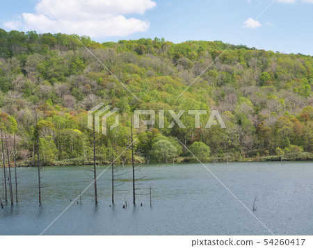 Ochiai大壩 54260417