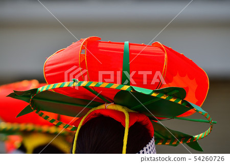 盛岡sansa舞蹈花蕾 54260726