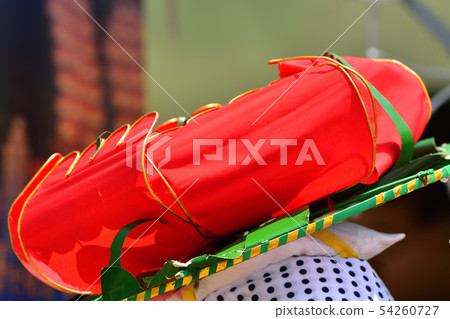 盛岡sansa舞蹈花蕾 54260727