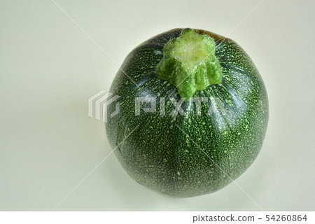 Round Zucchini Round Zucchini 54260864