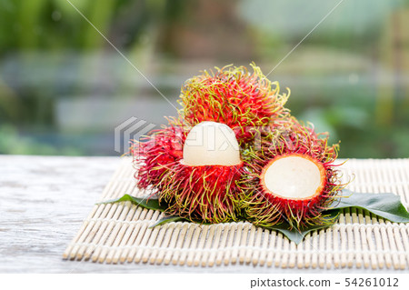 rambutan fruit on trunk in the garden,Ripe and 54261012