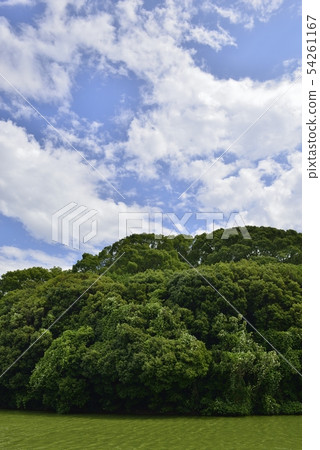[大阪府羽比野市]世界遺產古城古墳群（天鵝古墳） 54261167