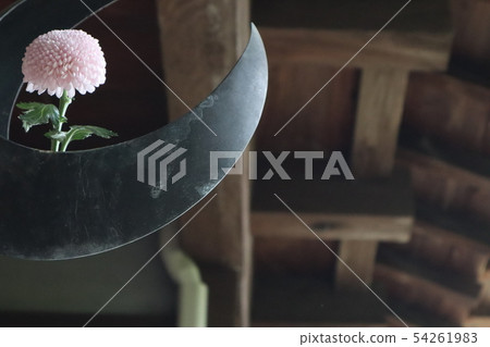 花3 54261983