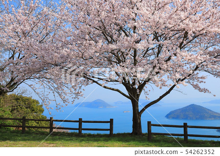 Seto Inland Sea from Mt. Shimoide in spring 54262352