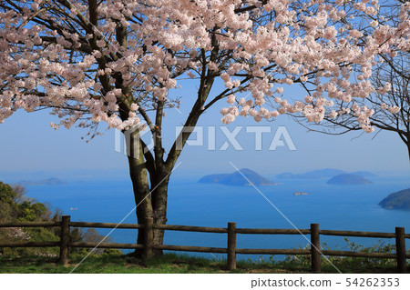 Seto Inland Sea from Mt. Shimoide in spring 54262353