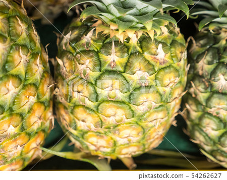 Sarawak's pineapple for sell 54262627