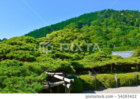 Zentsuji Temple Yuryu no Matsu Matsuda日本的No Matsu 54263422
