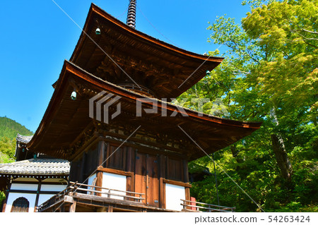 Zenjinji寶塔 Zenjinji寶塔 54263424