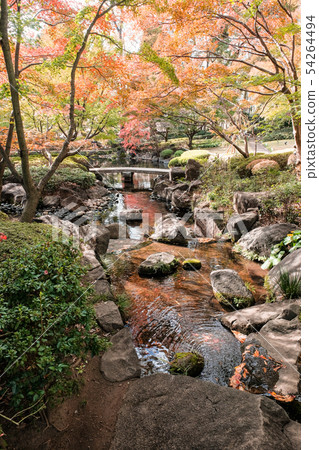 Daejeon black park, autumn leaves Daejeon black park, autumn leaves 54264494