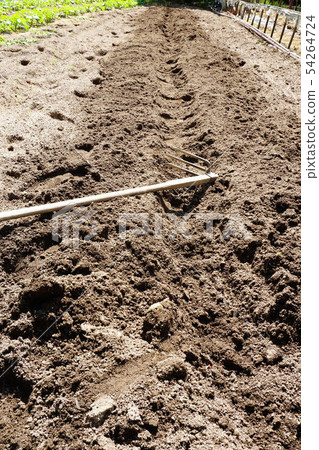 Home garden Home garden 54264724