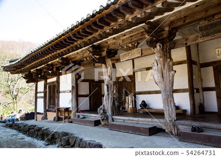 Old-fashioned hermit crab 54264731